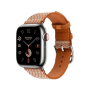 Apple Watch 11 46 Hermes, титан, серо-коричневый ремешок Toile H Single Tour Gold/Ecru Apple Watch 11 46 Hermes, титан, серо-коричневый ремешок Toile H Single Tour Gold/Ecru