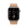 Apple Watch 11 46 Hermes, титан, серо-коричневый ремешок Toile H Single Tour Gold/Ecru Apple Watch 11 46 Hermes, титан, серо-коричневый ремешок Toile H Single Tour Gold/Ecru