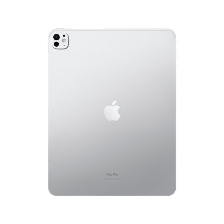 Apple iPad Pro 13" 2024 WiFi 2TB (серебристый) (без RuStore)