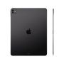 Apple iPad Pro 13" 2024 WiFi 2TB (космический черный) (без RuStore)